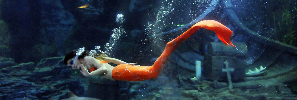 武汉东湖海洋世界项目,海昌极地海洋和东湖海洋