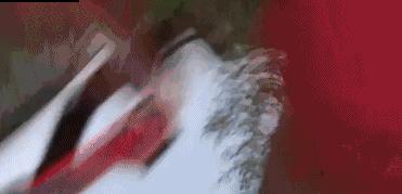 什么鹅的战斗力最强,鹅的战斗力是什么梗