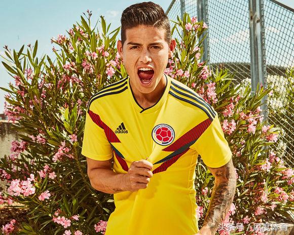 2018世界杯各国球服图片,世界杯各个队的球服