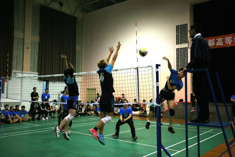 北京大学排球队,北京排球高校