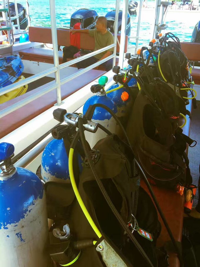 帕劳体验潜水,帕劳潜水胜地是什么体验