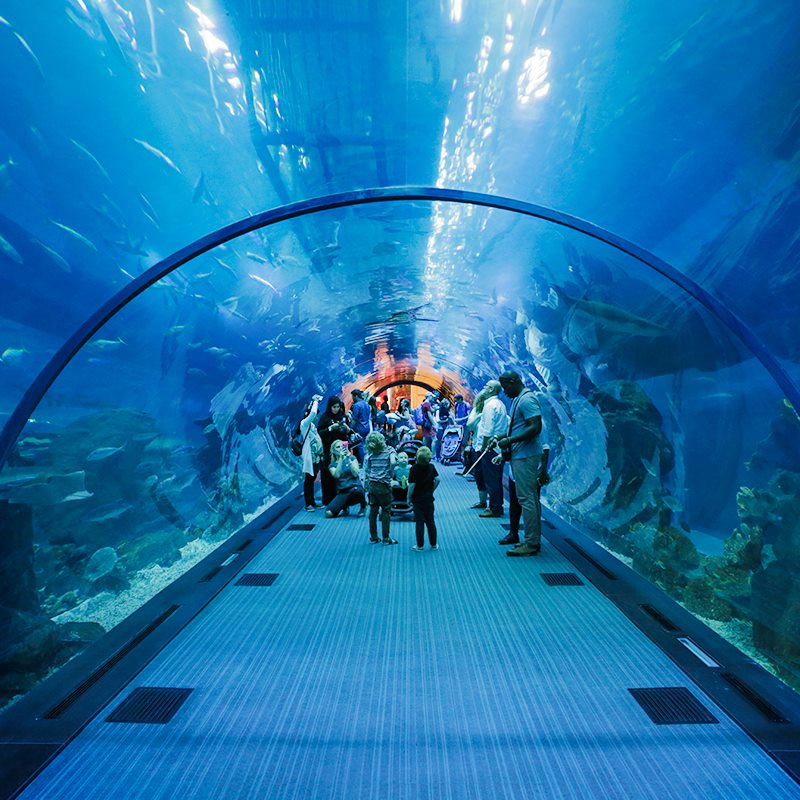 回忆迪拜幸福蜜月之旅,甜蜜的蜜月旅程