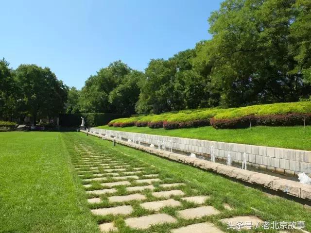 北京40个春游好去处!赏花、放风筝、爬山、烧烤……想怎么嗨都行!