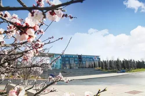 大连高校校花大pk,大连高中校花