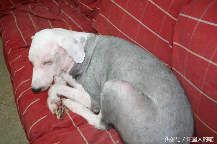 天上没有掉馅饼不要被金钱诱惑,天上没有馅饼掉的都是陷阱