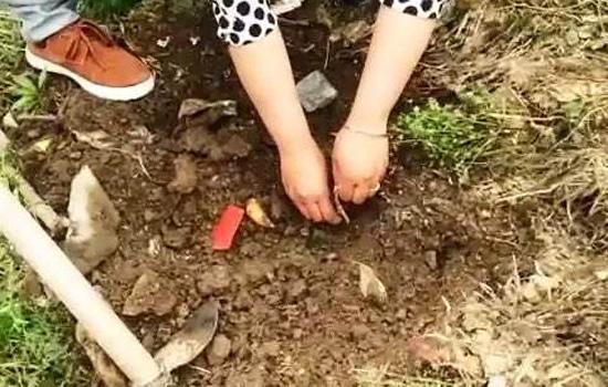 钓小龙虾什么天气好钓,钓小龙虾选什么天气好