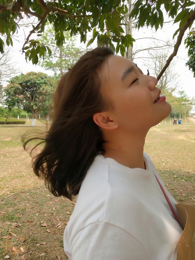 深圳东莞旅游景点推荐,东莞免费景点排名大全集