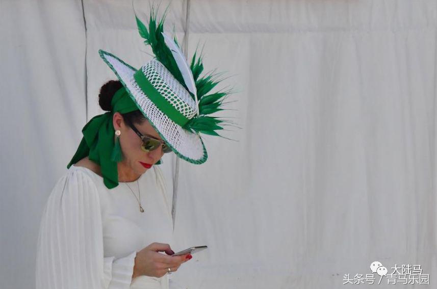 赛马节马的装扮,第27届迪拜赛马世界杯