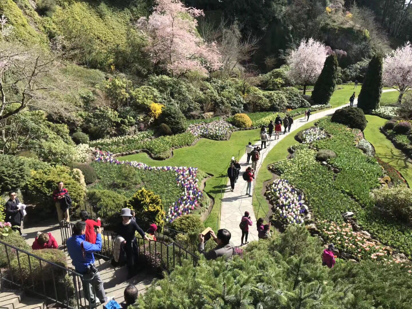 加拿大温哥华岛旅游,畅游加拿大