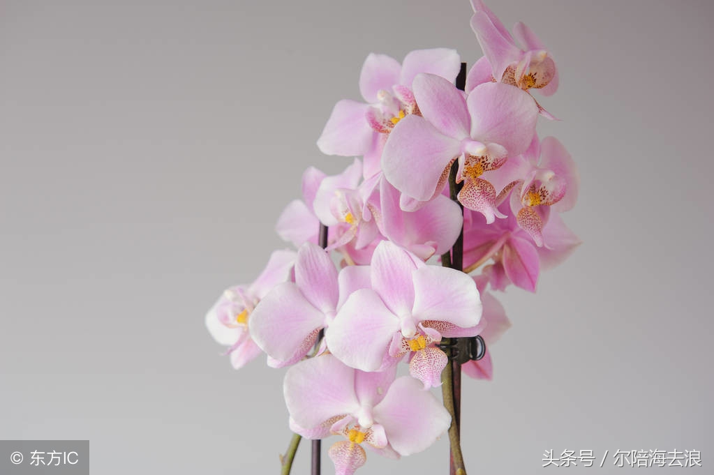 友不在多贵在知心原文,友不在多贵在知心文字图片