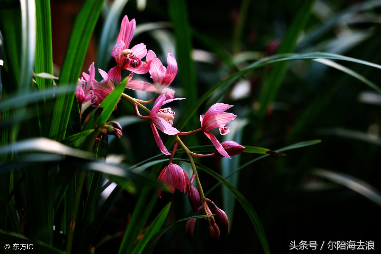 友不在多贵在知心原文,友不在多贵在知心文字图片