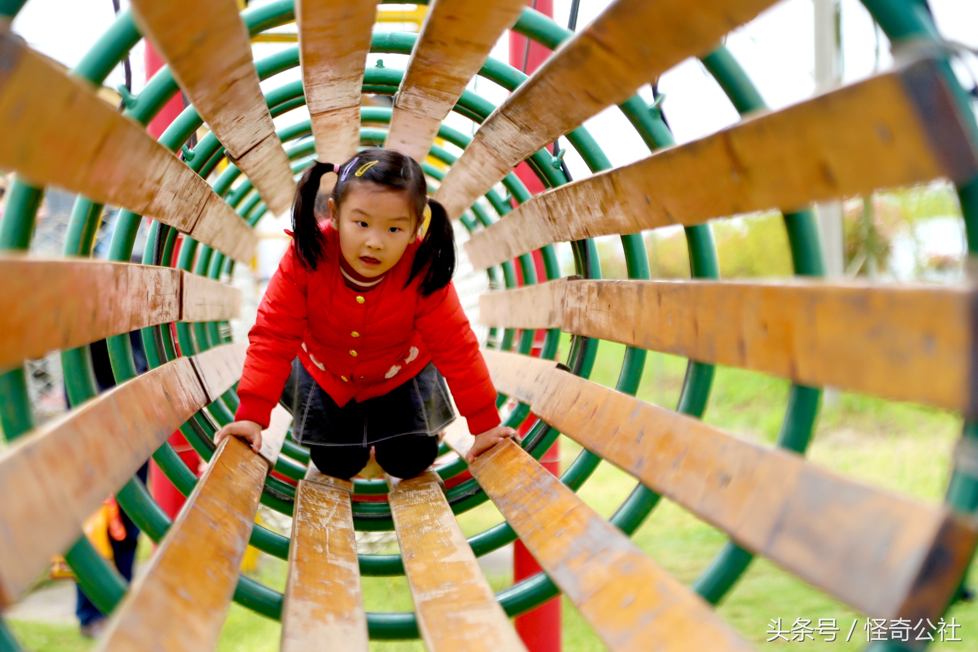 宜昌市夷陵区同心花海,2020宜昌赏花同心花海