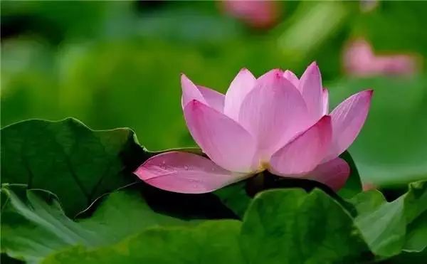 外地人不来丽江的10大理由！简直不能容忍……