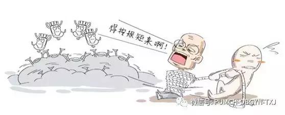 协和医院预约hpv疫苗,hpv九价疫苗可以在私立医院打吗