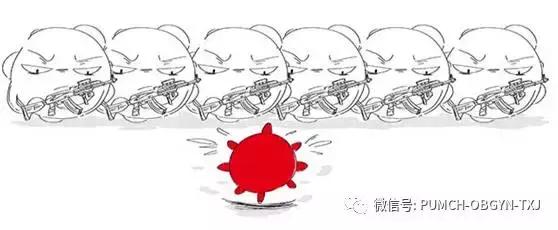 协和医院预约hpv疫苗,hpv九价疫苗可以在私立医院打吗