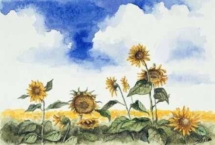 试产-人力-组织架构图