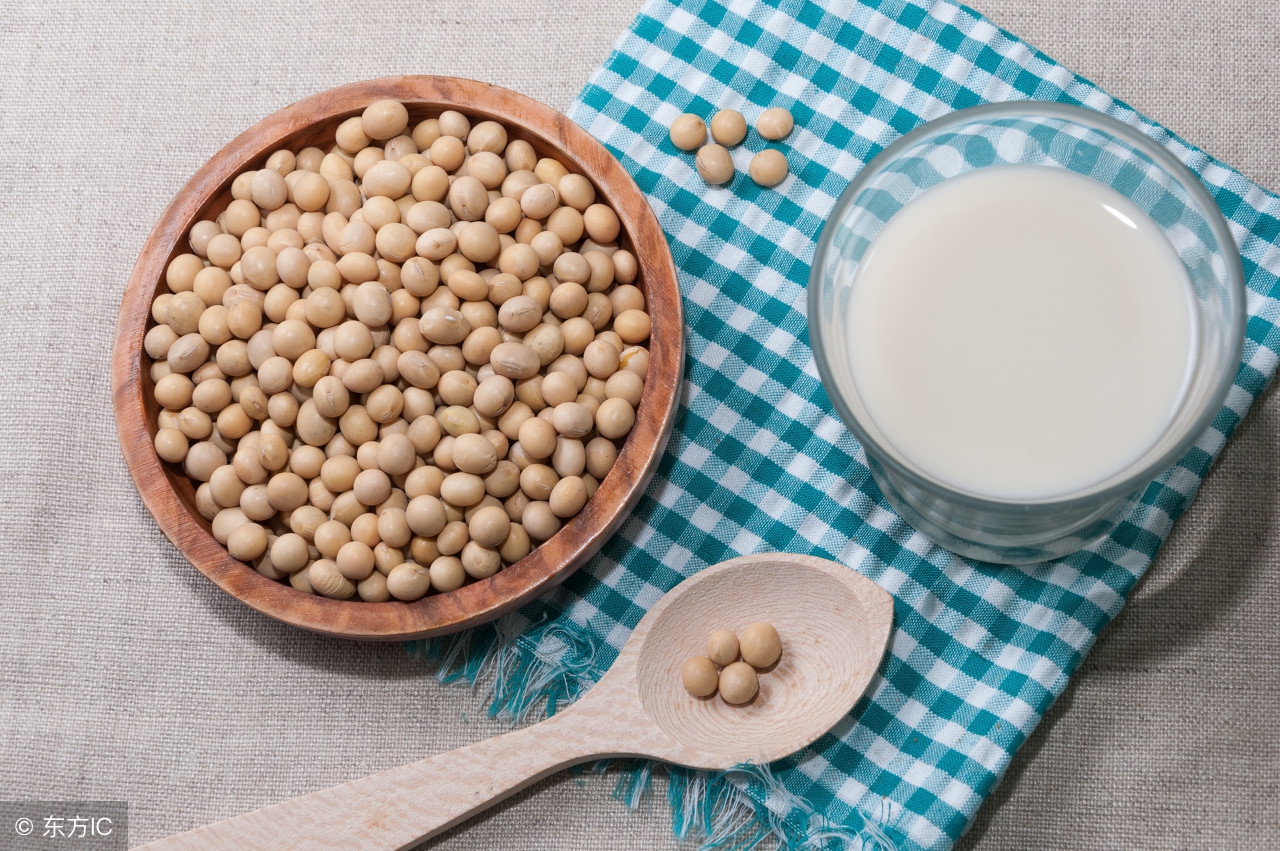 发酵凝固型黑豆豆奶,发酵豆奶