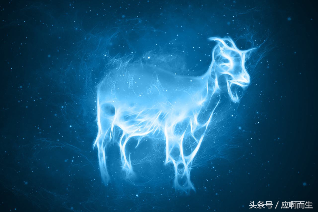 十二生肖怕人的生肖,蟑螂对应十二生肖什么动物