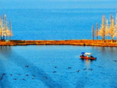 武汉外语外事职业学院周围环境,武汉外语外事职业学院等你来