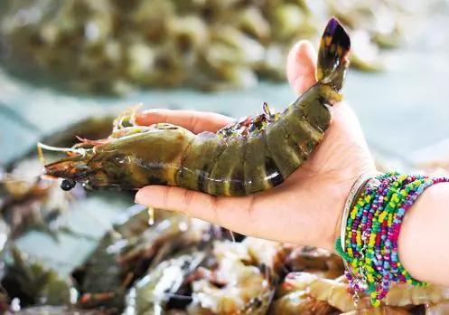 我想带你去看熟悉的风景,沙巴美景之旅