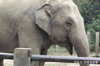 成都风景最好看的地方,成都最适合旅游的城市