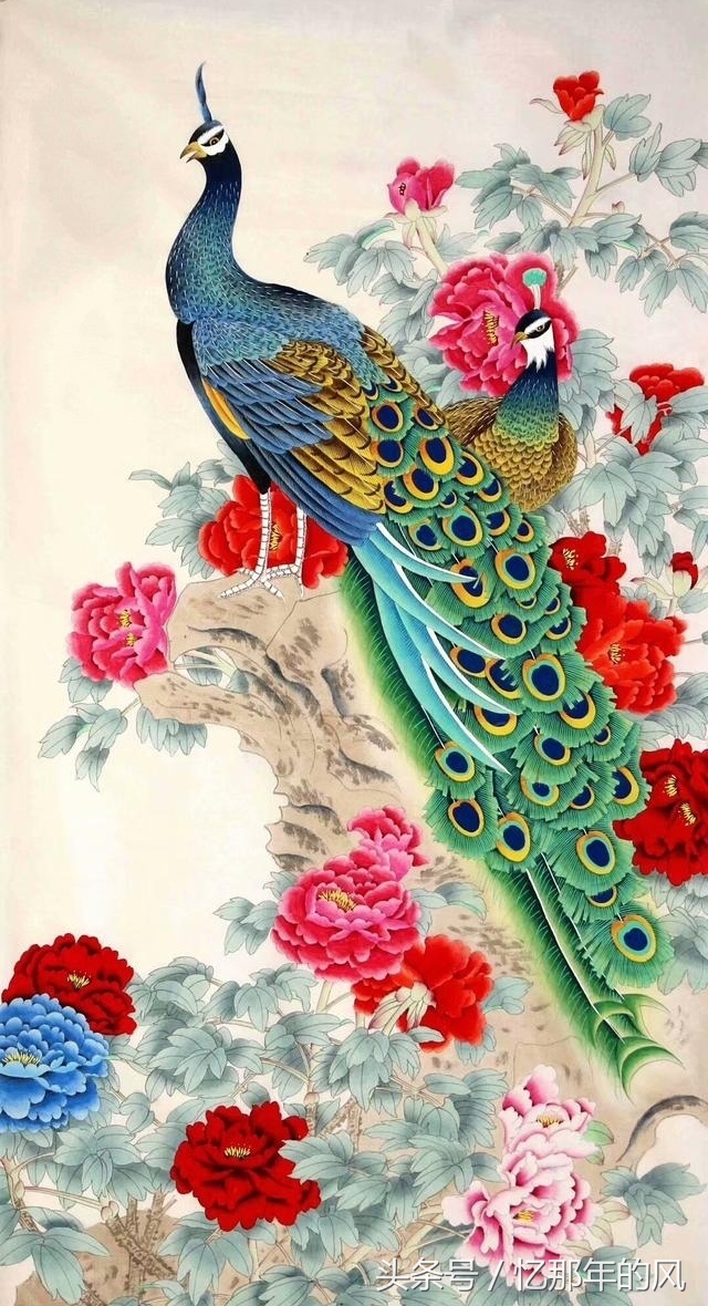 美丽的孔雀和凤凰吉祥的象征,孔雀和凤凰的寓意及象征