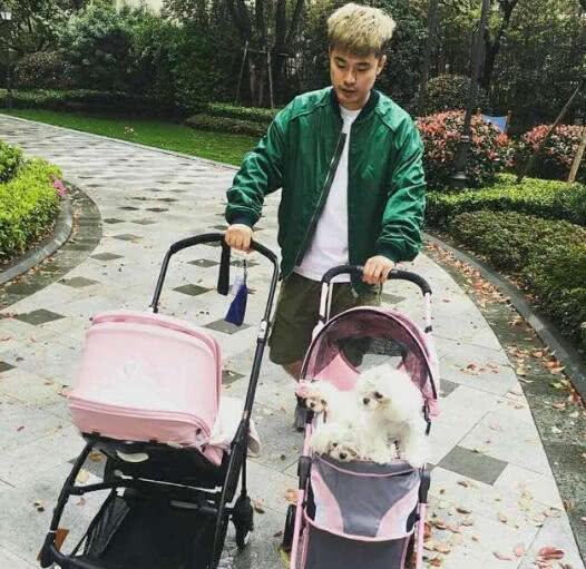 陈浩民老婆晒孩子照片,陈浩民妻子晒四个孩子照