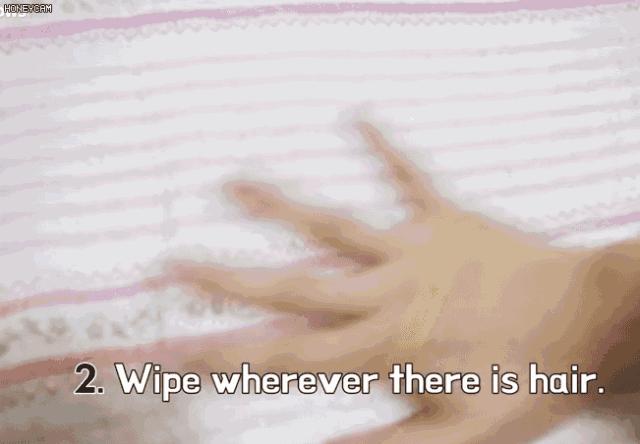 室内毛发清洁方法,家里地面毛发用什么方法去除