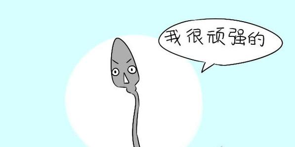 处女也会怀孕？是谣传还是另有隐情？