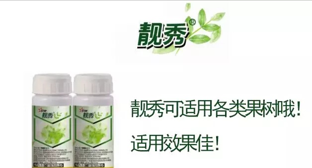 闈撶淇濊姳淇濇灉,闈撶