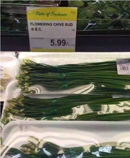 200块人民币能在加拿大买到什么 (100块人民币在加拿大能买些什么)