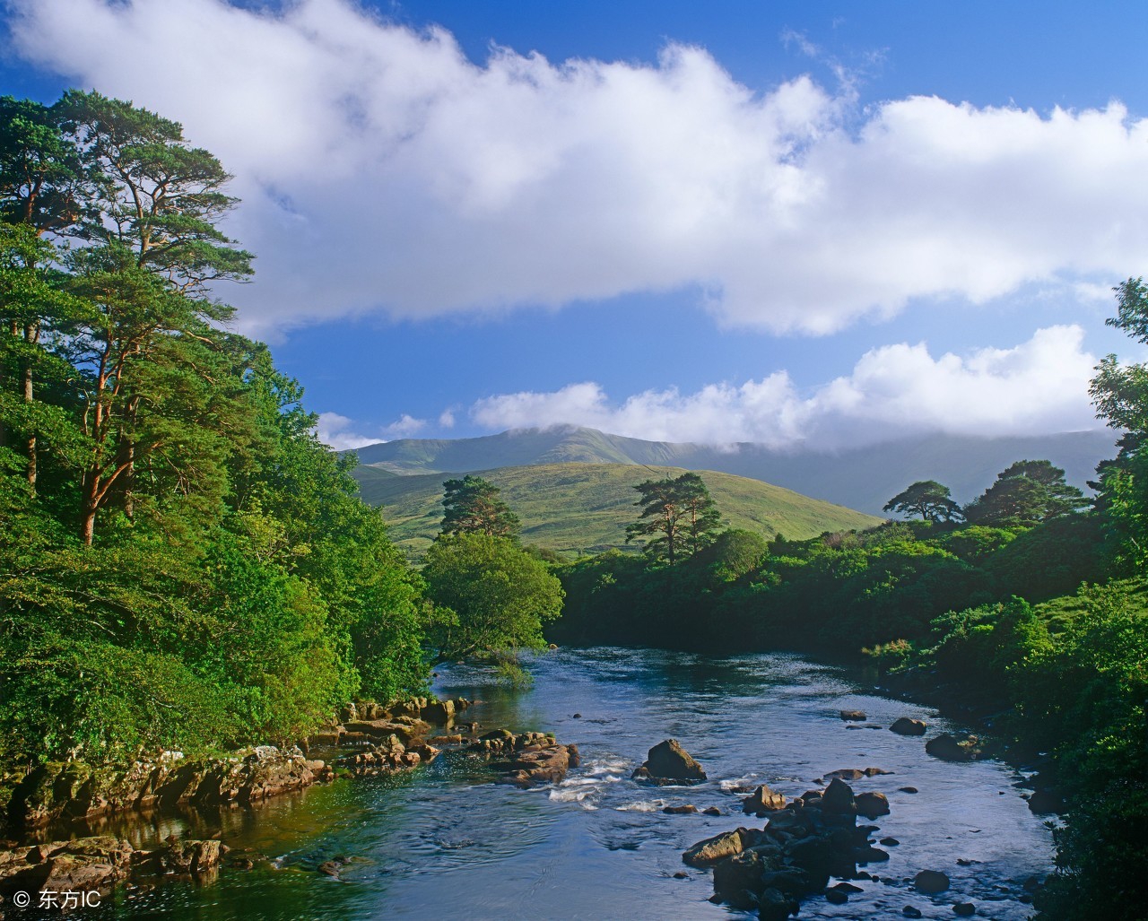陕西中考化学重点知识默写版,陕西中考化学必考题型视频