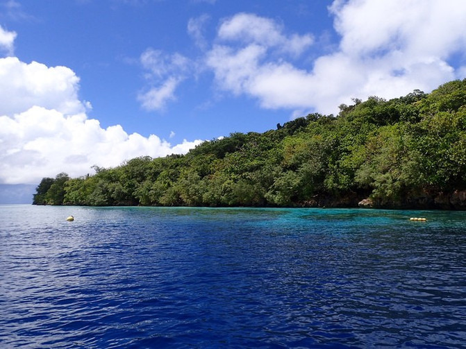 离开喧嚣的城市去野外生活三年,逃离都市喧嚣回归心灵栖居地