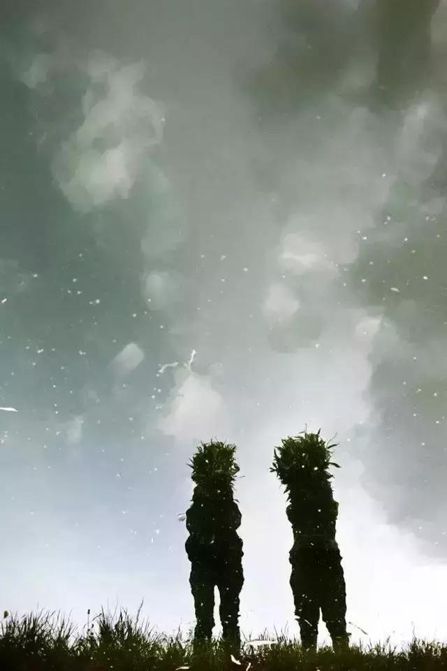 小猪佩奇擦亮眼睛看清事实,小猪佩奇最大的亮点