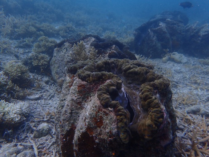 离开喧嚣的城市去野外生活三年,逃离都市喧嚣回归心灵栖居地
