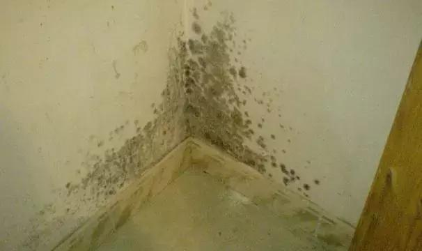 霉菌感染用什么喷雾比较好,潮湿的霉菌用什么消毒比较好