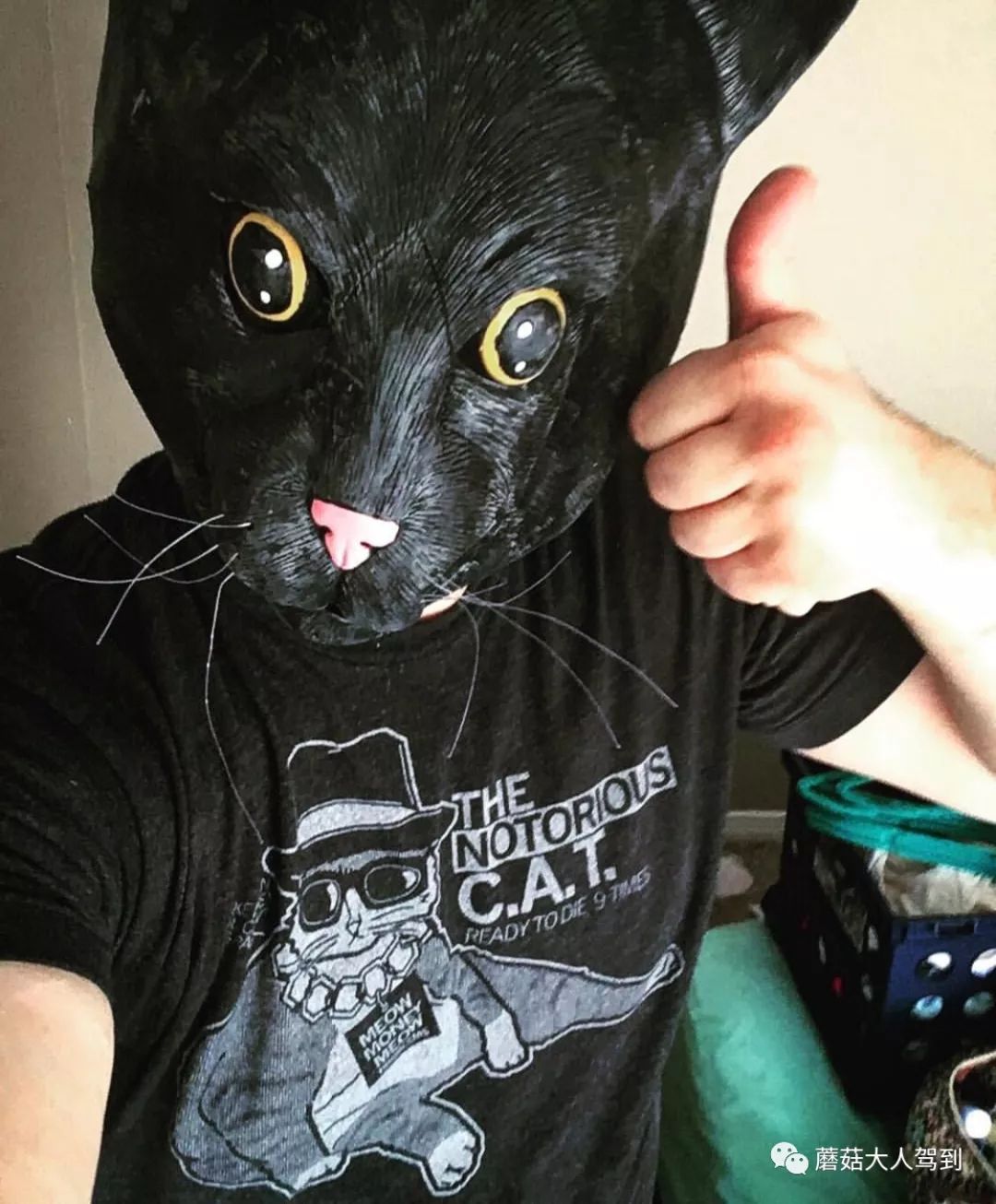 鍥藉璐墿鏁欑▼,鍥藉璐墿鎼瘽