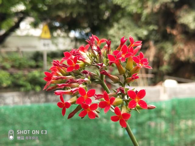 魅蓝e3是什么配置,魅蓝e3还能用吗