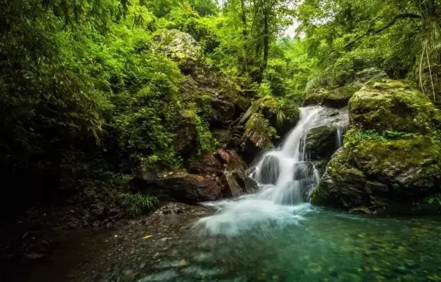 成都周边洗肺好去处,成都周边私藏的8个洗肺胜地