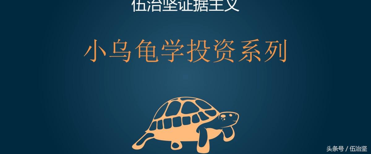 乌龟的投资方法和技巧,小乌龟怎么投资最好