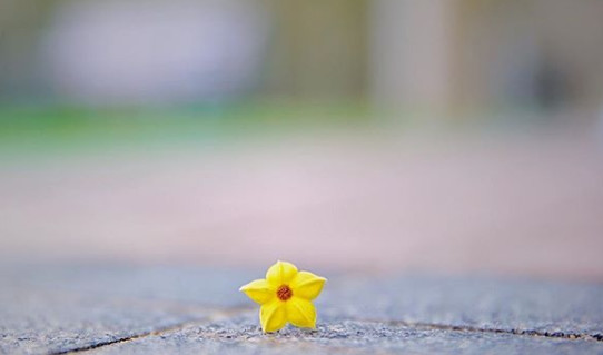 ins冷淡风图片,ins冷淡风写真高级感