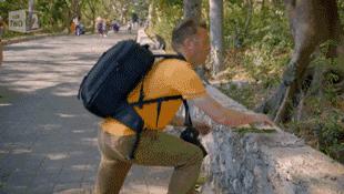 动物灵活训练,训练动物必杀技