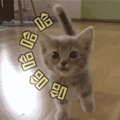 美容仪瘦脸按摩神器,美容瘦身按摩仪哪种好