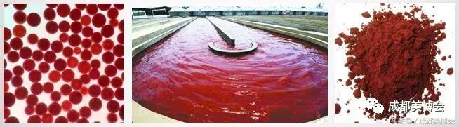 展商推荐丨宁斐——一家让科技改变美的企业