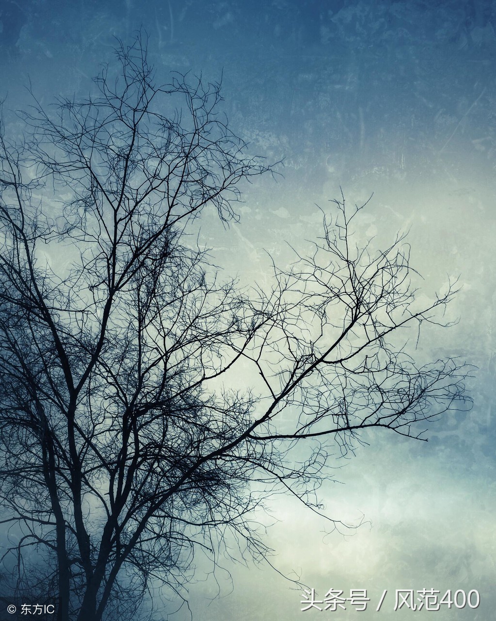 论语读后感人不知而不愠,论语读书感悟