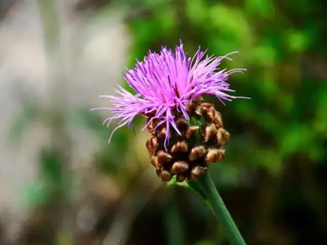 密云名胜的来历,密云神秘景观