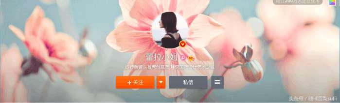 王菲为什么叫veggieg，艺人的微博名字究竟有什么深意