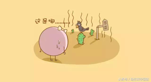 怀孕十有九漏什么症状,十男有九漏用不用保胎