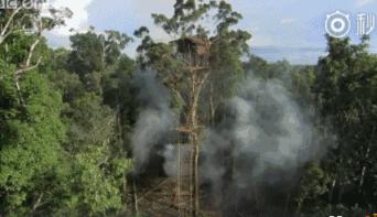 被奉为神明合集,bbc神级纪录片life第02集