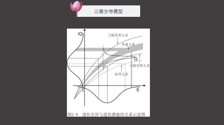 程跃博士金色摇篮,程跃博士简历